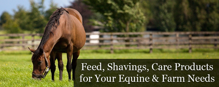 horse feed suppliers near me